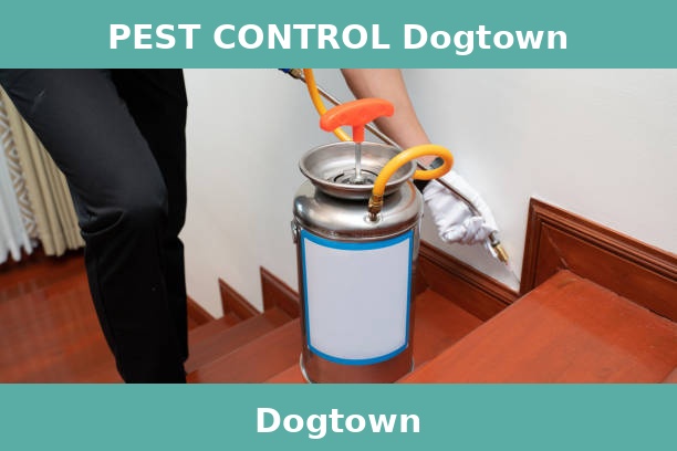 PEST CONTROL Dogtown